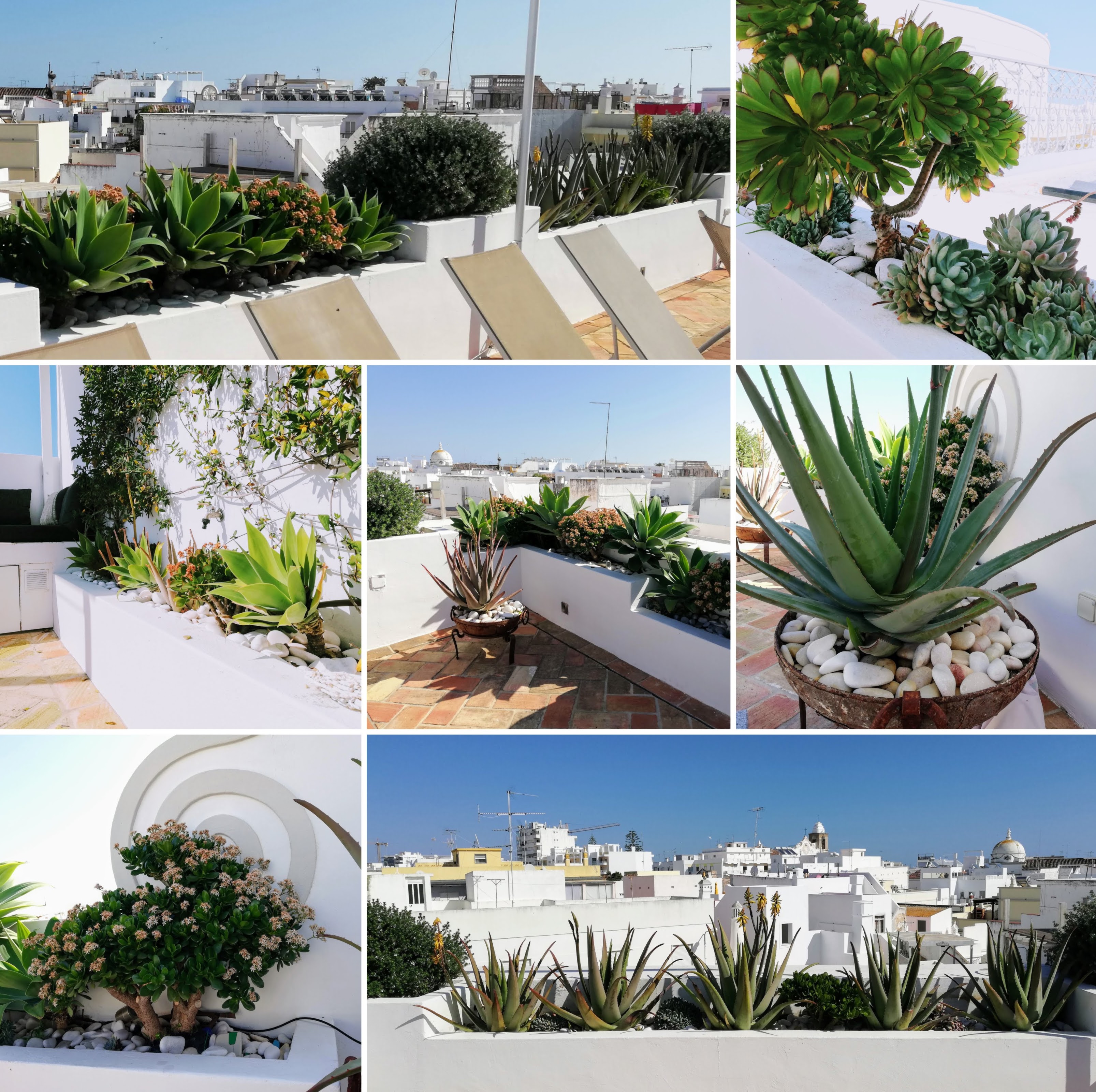 Casa Fuzetta - Image 7